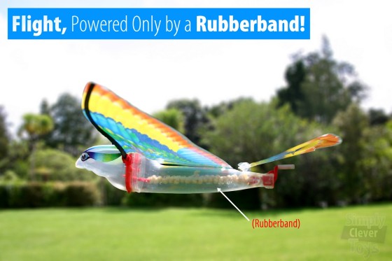 Tim Bird Powered by Rubberbands