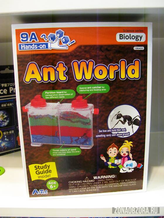 ant world